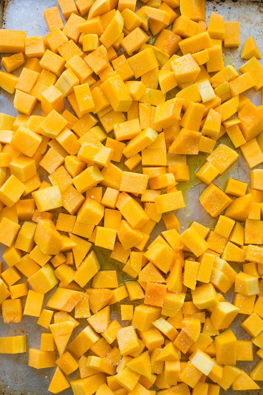 butternut_squash_pasta_tableanddish-0483