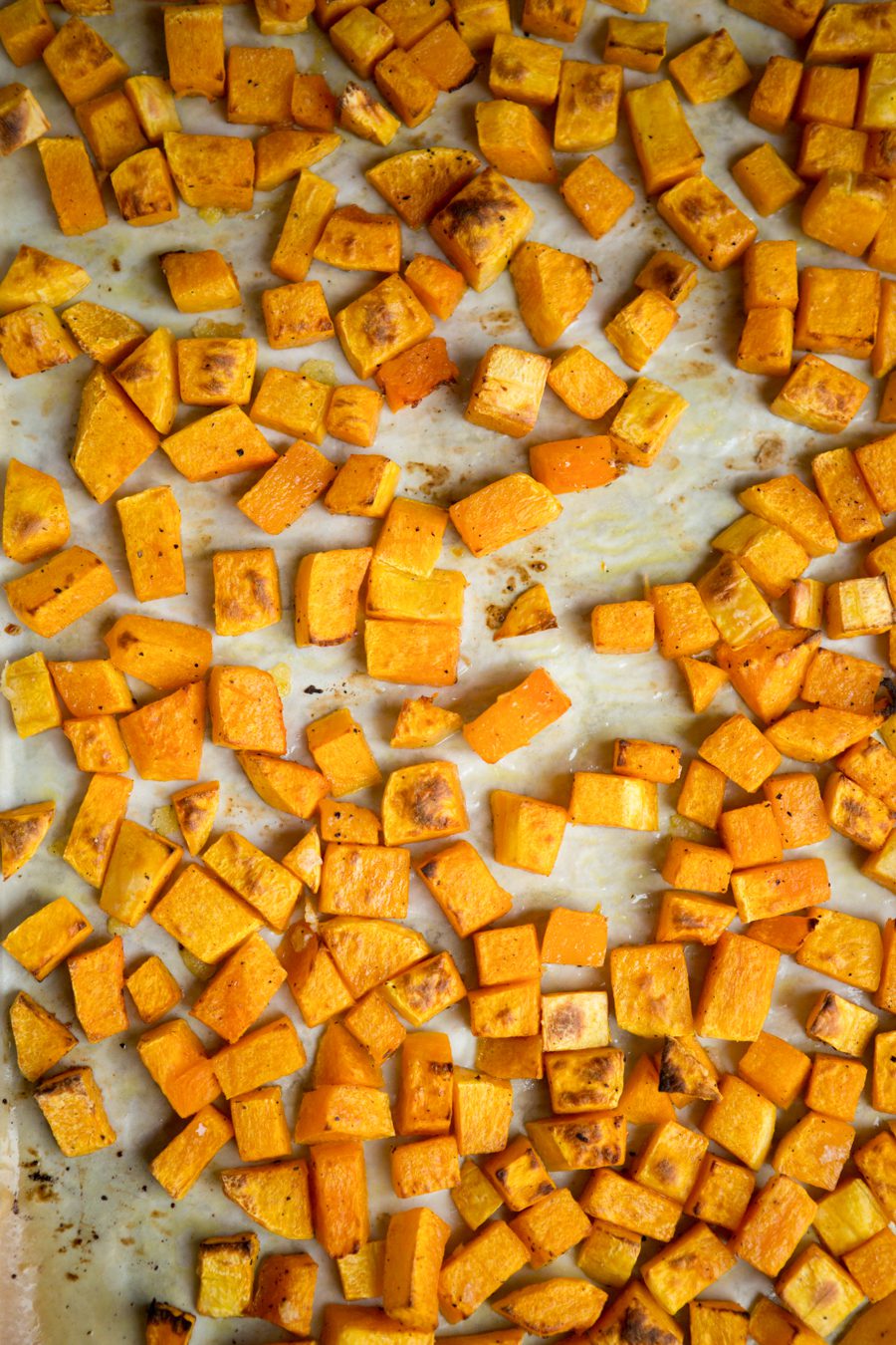 butternut_squash_pasta_tableanddish-5858